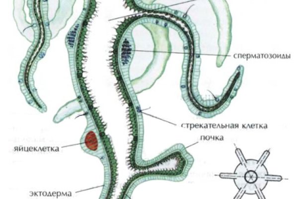 Кракен сайт закладок