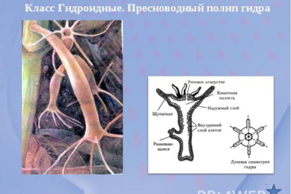 Кракен ссылка онион зеркало